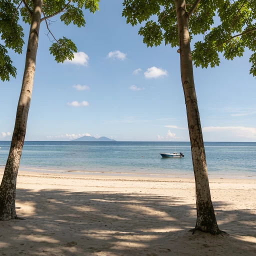 Anda White Beach Resort