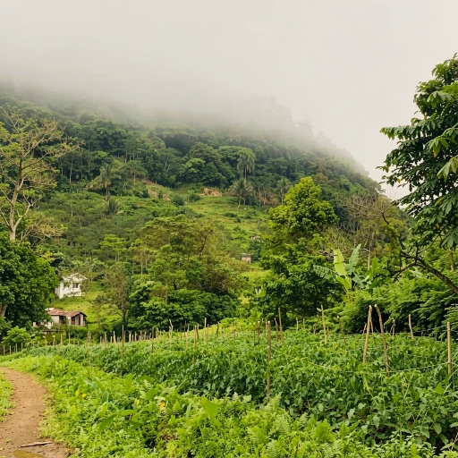 Bintana Sa Paraiso Binunsaran
