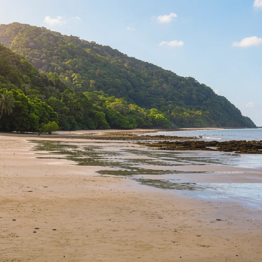 Cape Tribulation Beach House