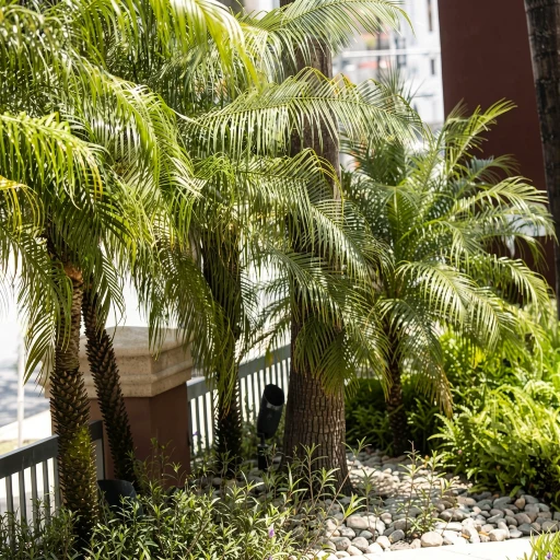 Doubletree By Hilton San Juan