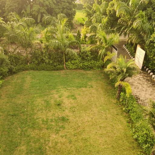 Dreamland Resort