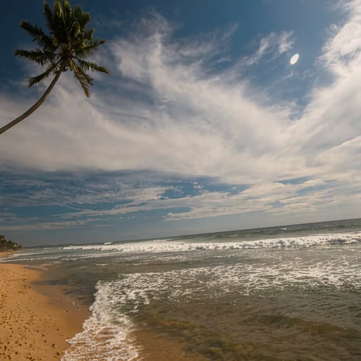 Lanka Supercorals