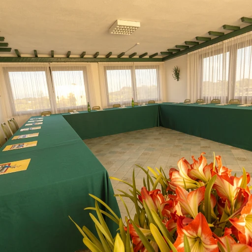Conferences