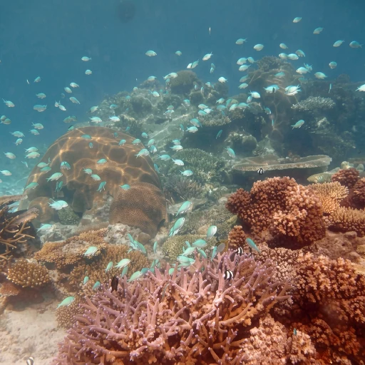 Mantaray Island Resort
