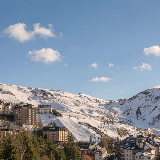 Melia Sol y Nieve