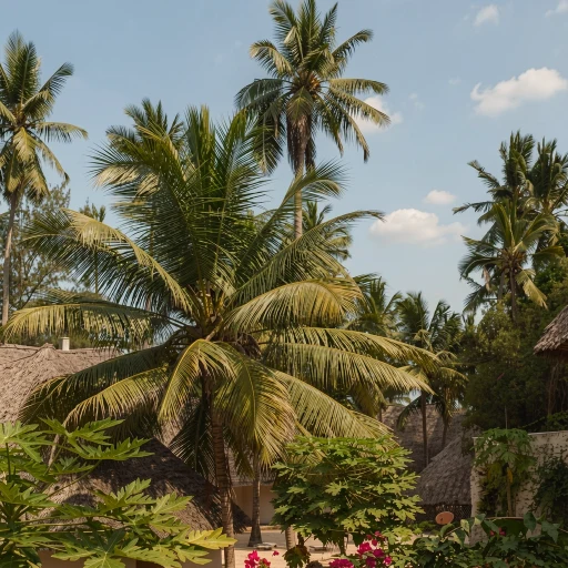Ora Resort Coral Reef