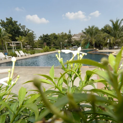 Pai Iyara Resort