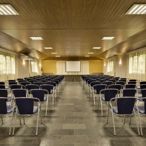 Conferences