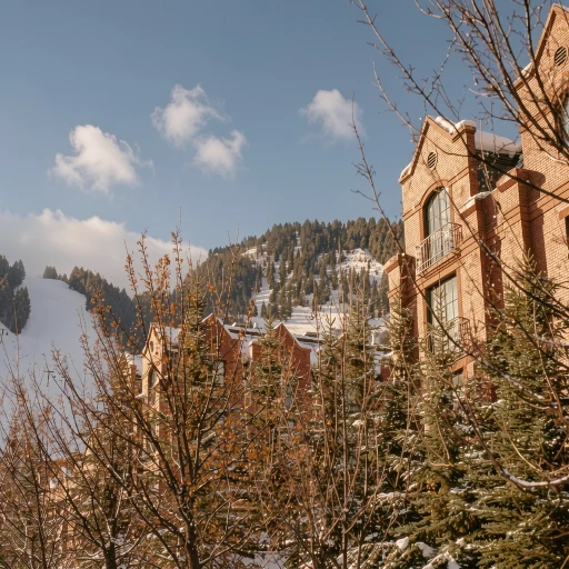 The St. Regis Aspen Resort