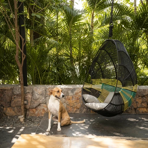 Thompson Zihuatanejo
