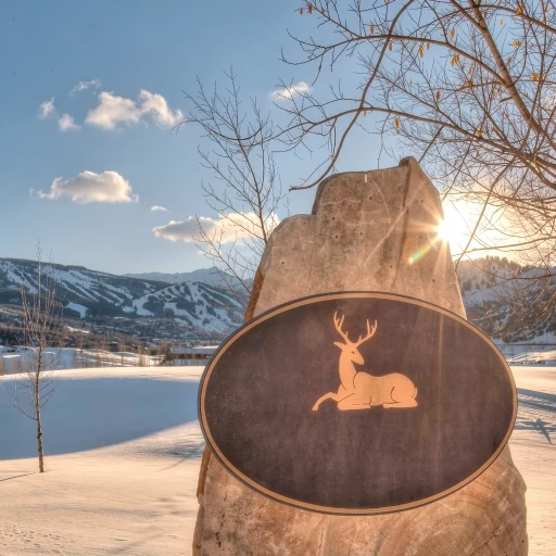 Villas at Snowmass Club
